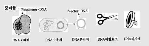 가. 재조합 DNA 기술