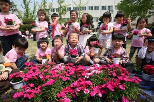 한국판 카네이션 패랭이꽃 화분만들기 체험 