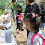 농기원, 한국의 버섯 특별전 열어