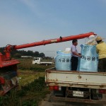 FTA 극복을 위한 가공용쌀 계약재배 경기미 수확 및 햅쌀막걸리 생산