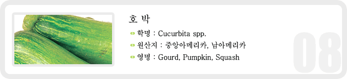 호박 , 학명 : Cucurbita spp. , 원산지 : 중앙아메리카, 남아메리카, 영명 : Gourd, Pumpkin, Squash