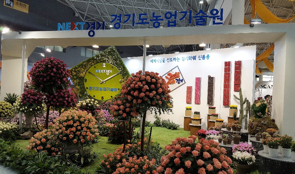 꽃박람회농기원부스꽃박람회 경기도원 부스