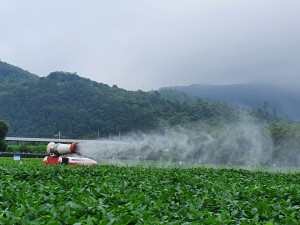 콩 농가 장마후 관리(방제)