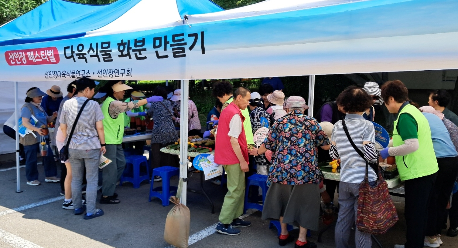 선인장페스티벌1