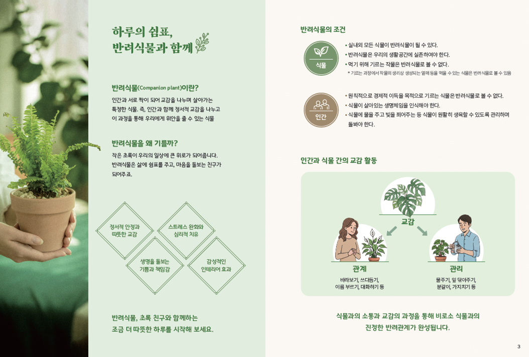 반려식물 관리 정보