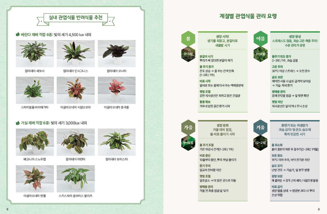 반려식물 관리 정보