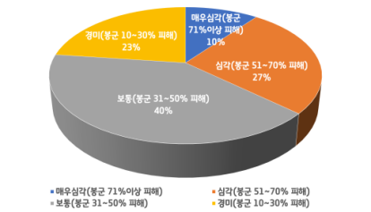 꿀벌응애 피해정도