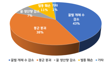 말벌류의 피해양상