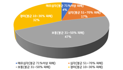 말벌류에 의한 피해정도