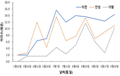 담배거세미나방
