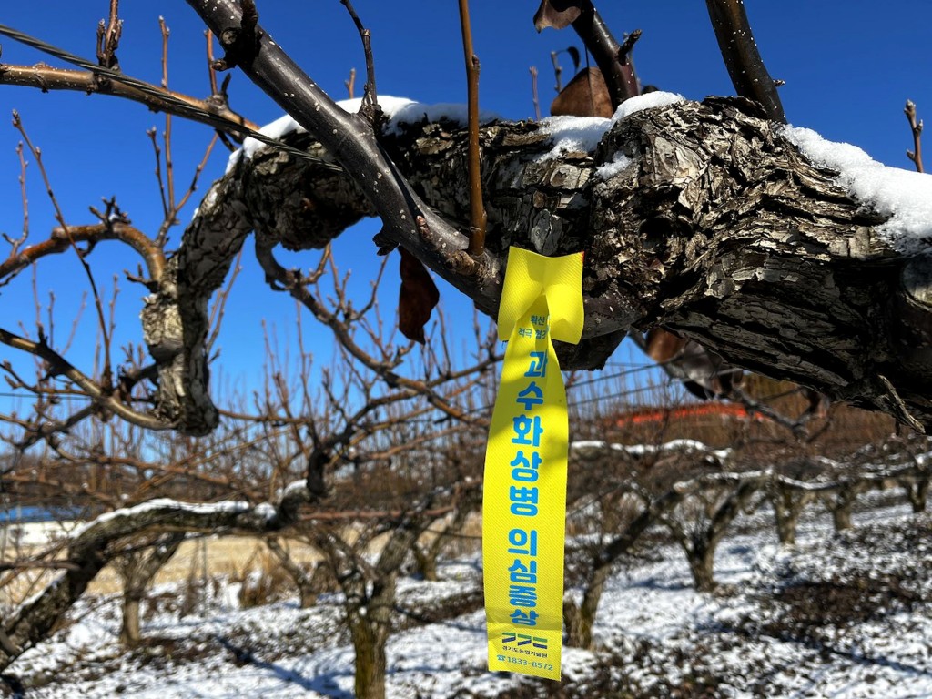 과수화상병확산방지