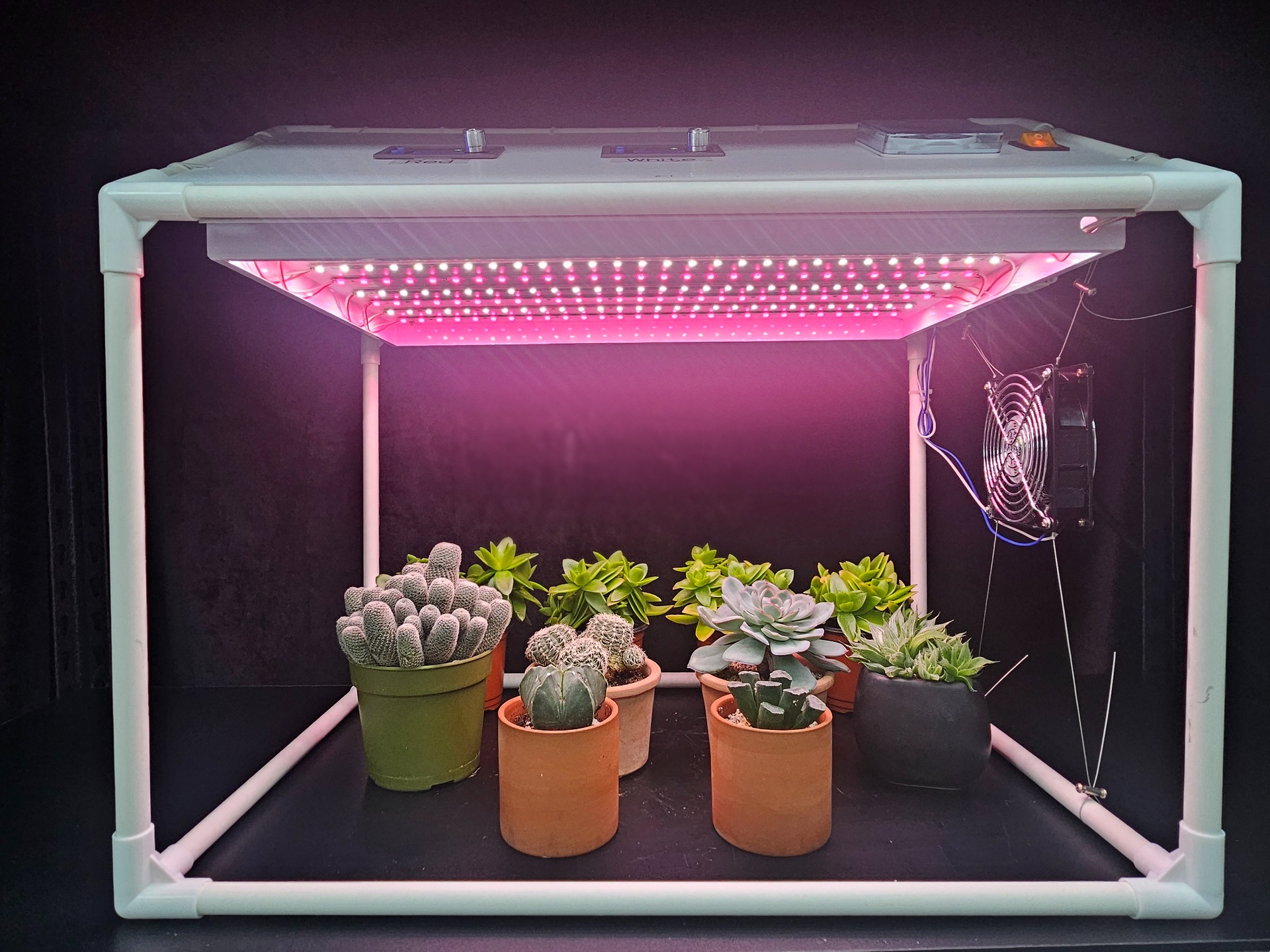 가정용 다육식물 생육상