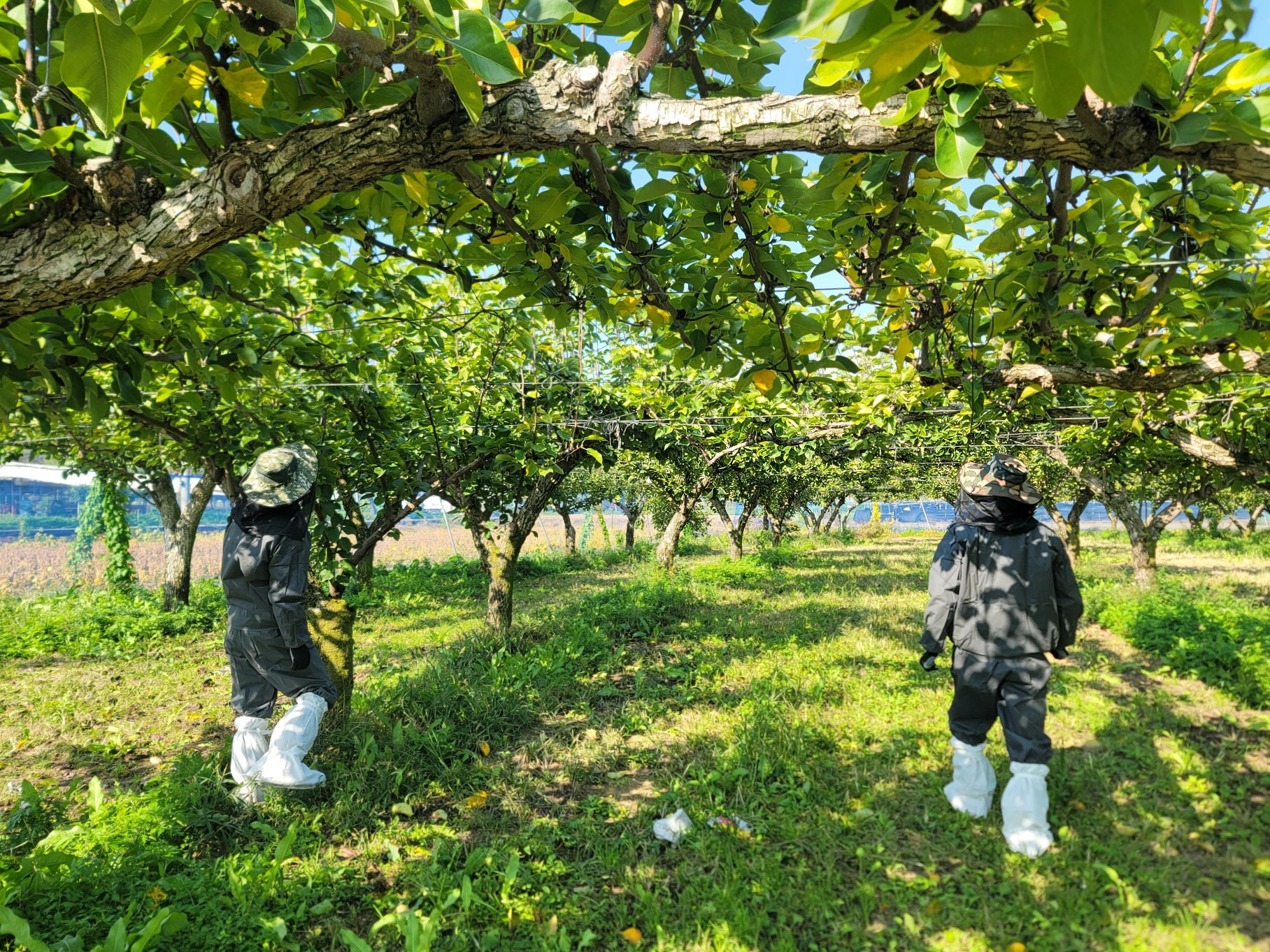 합동예찰