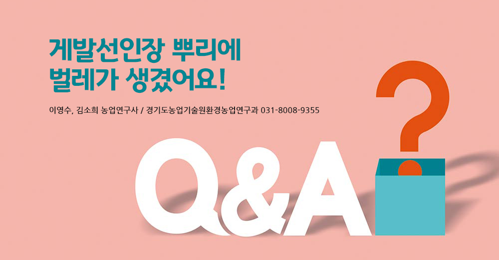 게발선인장 뿌리에 벌레가 생겼어요