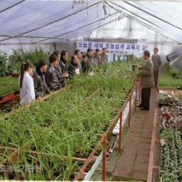 고양시농촌지도소에서 개최한 95 새해영농설계 화훼반 교육에 참여한 농민들이 각종 난을 재배하는 농장에서 난배재 현장교육을 받고 있다.