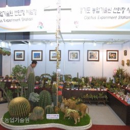 한국고양꽃전시회에 고양 선인장시험장에서 다양한 선인장들을 전시했다.