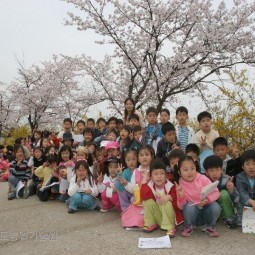 농업기술원에 소풍온 초등학교학생들이 벚꽃이 활짝핀 벚나무길에서 포즈를 취하고 있다.