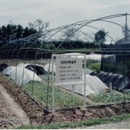 s334619950801