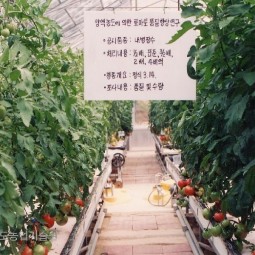 s337419950101