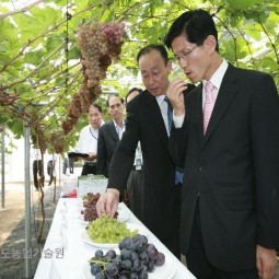 김문수 경기도지사가 농업현장을 방문하여 관계관들로 부터 농업현황을 청취하였다.