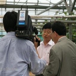 포도 소비촉진을 위한 공중파 방송을 통한 tv홍보를 하고 있다.