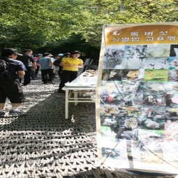 독버섯 식별교육_01