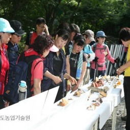 독버섯 식별교육_02