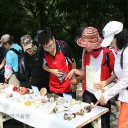 독버섯 식별교육_03