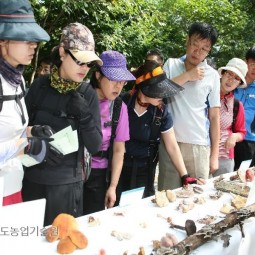 독버섯 식별교육_04