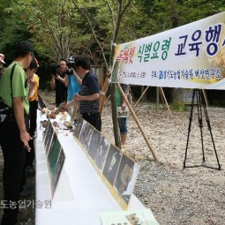 독버섯 식별교육_09