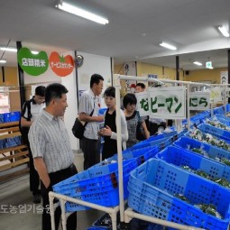 JA전농 후쿠시마 및 직영판매점 방문하여 운영및 판매사례 자료수집