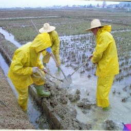 봄비가 내린 가운데 논에 물을 가두기 위해 농업인들이 돈뚝을 정비하고 있다.