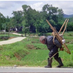 시골길 사이로 빈 지게를 짊어진 노인이 걸어가고 있다. 구부러진 허리만큼 힘든 농사일 이지만 오늘도 일손을 놓을 수 없다.