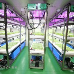 기상이변 등 농업환경이 날로 어려워지고 있는 현실에 로봇과 인공조명을 활용한 농업이 미래 농업이 될것으로 예상한다.
