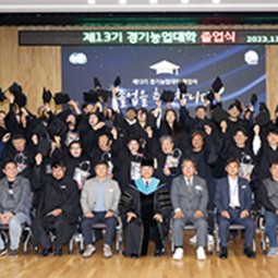 32-t