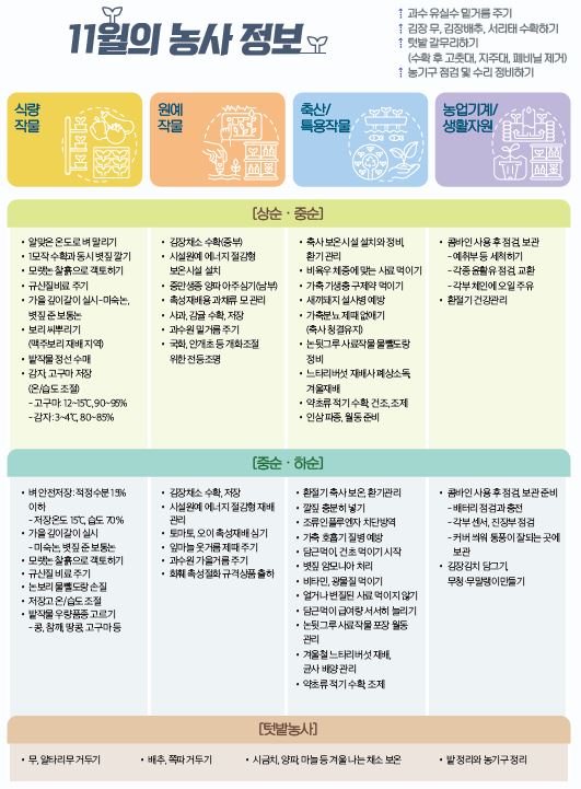 11월의 농사 정보 ⇡ 과수 유실수 밑거름 주기 ⇡ 김장 무, 김장배추, 서리태 수확하기 ⇡ 텃밭 갈무리하기 (수확 후 고춧대, 지주대, 폐비닐 제거) ⇡ 농기구 점검 및 수리 정비하기 식량 작물 원예 작물 축산/특용작물 농업기계/생활자원 [상순·중순] • 알맞은 온도로 벼 말리기 • 1모작 수확과 동시 볏짚 깔기 • 모랫논 찰흙으로 객토하기 • 규산질비료 주기 • 가을 깊이갈이 실시-미숙논, 볏짚 준 보통논 • 보리 씨뿌리기 (맥주보리 재배 지역) • 밭작물 정선 수매 • 감자, 고구마 저장 (온/습도 조절) - 고구마: 12~15℃, 90~95% - 감자: 3~4℃, 80~85% • 김장채소 수확(중부) • 시설원예 에너지 절감형 보온시설 설치 • 중만생종 양파 아주심기(남부) • 촉성재배용 과채류 모 관리 • 사과, 감귤 수확, 저장 • 과수원 밑거름 주기 • 국화, 안개초 등 개화조절 위한 전등조명 • 축사 보온시설 설치와 정비, 환기 관리 • 비육우 체중에 맞는 사료 먹이기 • 가축 기생충 구제약 먹이기 • 새끼돼지 설사병 예방 • 가축분뇨 제때 없애기 (축사 청결유지) • 논뒷그루 사료작물 물뺄도랑 정비 • 느타리버섯 재배사 폐상소독, 겨울재배 • 약초류 적기 수확, 건조, 조제 • 인삼 파종, 월동 준비 • 콤바인 사용 후 점검, 보관 - 예취부 등 세척하기 - 각종 윤활유 점검, 교환 - 각부 체인에 오일 주유 • 환절기 건강관리 [중순·하순] • 벼 안전저장: 적정수분 15% 이하 - 저장온도 15℃, 습도 70% • 가을 깊이갈이 실시 - 미숙논, 볏짚 준 보통논 • 모랫논 찰흙으로 객토하기 • 규산질 비료 주기 • 논보리 물뺄도랑 손질 • 저장고 온/습도 조절 • 밭작물 우량품종 고르기 - 콩, 참깨, 땅콩, 고구마 등 • 김장채소 수확, 저장 • 시설원예 에너지 절감형 재배 관리 • 토마토, 오이 촉성재배 심기 • 잎마늘 웃거름 제때 주기 • 과수원 가을거름 주기 • 화훼 촉성절화 규격상품 출하 • 환절기 축사 보온, 환기관리 • 깔짚 충분히 넣기 • 조류인플루엔자 차단방역 • 가축 호흡기 질병 예방 • 담근먹이, 건초 먹이기 시작 • 볏짚 암모니아 처리 • 비타민, 광물질 먹이기 • 얼거나 변질된 사료 먹이지 않기 • 담근먹이 급여량 서서히 늘리기 • 논뒷그루 사료작물 포장 월동 관리 • 겨울철 느타리버섯 재배, 균사 배양 관리 • 약초류 적기 수확, 조제 • 콤바인 사용 후 점검, 보관 준비 - 배터리 점검과 충전 - 각부 센서, 진장부 점검 - 커버 씌워 통풍이 잘되는 곳에 보관 • 김장김치 담그기, 무청·무말랭이만들기 [텃밭농사] • 무, 알타리무 거두기 • 배추, 쪽파 거두기 • 시금치, 양파, 마늘 등 겨울 나는 채소 보온 • 밭 정리와 농기구 정리