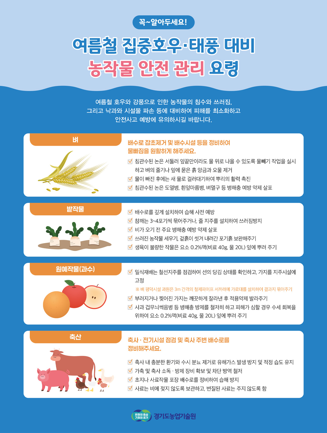 꼭~알아두세요! 여름철 집중호우·태풍 대비 여름철 집중호우·태풍 대비 농작물 안전 관리농작물 안전 관리 요령 / 여름철 호우와 강풍으로 인한 농작물의 침수와 쓰러짐, 그리고 낙과와 시설물 파손 등에 대비하여 피해를 최소화하고 안전사고 예방에 유의하시길 바랍니다. / 벼 - 배수로 잡초제거 및 배수시설 등을 정비하여 물빠짐을 원활하게 해주세요.( 침관수된 논은 서둘러 잎끝만이라도 물 위로 나올 수 있도록 물빼기 작업을 실시하고 벼의 줄기나 잎에 묻은 흙 앙금과 오물 제거, 물이 빠진 후에는 새 물로 걸러대기하여 뿌리의 활력 촉진, 침관수된 논은 도열병, 흰잎마름병, 벼멸구 등 병해충 예방 약제 살포) / 밭작물 -  배수로를 깊게 설치하여 습해 사전 예방, 참깨는 3~4포기씩 묶어주거나, 줄 지주를 설치하여 쓰러짐방지, 비가 오기 전 주요 병해충 예방 약제 살포, 쓰러진 농작물 세우기, 겉흙이 씻겨 내려간 포기흙 보완해주기, 생육이 불량한 작물은 요소 0.2%액(비료 40g, 물 20L) 잎에 뿌려 주기 / 원예작물(과수) -  밀식재배는 철선지주를 점검하여 선의 당김 상태를 확인하고, 가지를 지주시설에 고정 ※  배 평덕시설 과원은 3m 간격의 철제파이프 서까래에 가로대를 설치하여 결과지 묶어주기, 부러지거나 찢어진 가지는 깨끗하게 잘라낸 후 적용약제 발라주기, 사과 겁무늬썩음병 등 병해충 방제를 철저히 하고 피해가 심할 경우 수세 회복을 위하여 요소 0.2%액(비료 40g, 물 20L) 잎에 뿌려 주기 / 축산 - 축사 · 전기시설 점검 및 축사 주변 배수로를 정비해주세요.(  축사 내 충분한 환기와 수시 분뇨 제거로 유해가스 발생 방지 및 적정 습도 유지, 가축 및 축사 소독 · 방제 장비 확보 및 차단 방역 철저, 초지나 사료작물 포장 배수로를 정비하여 습해 방지, 사료는 비에 젖지 않도록 보관하고, 변질된 사료는 주지 않도록 함)