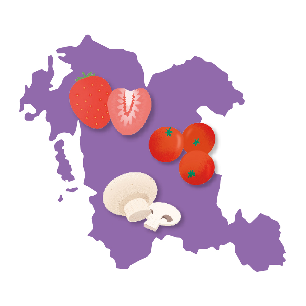 충청남도
