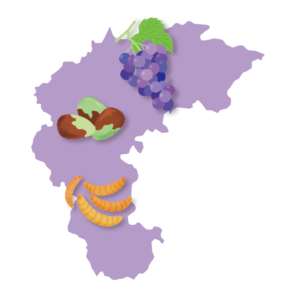 충청북도