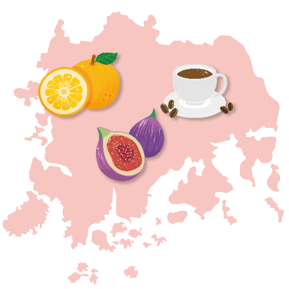 전라남도