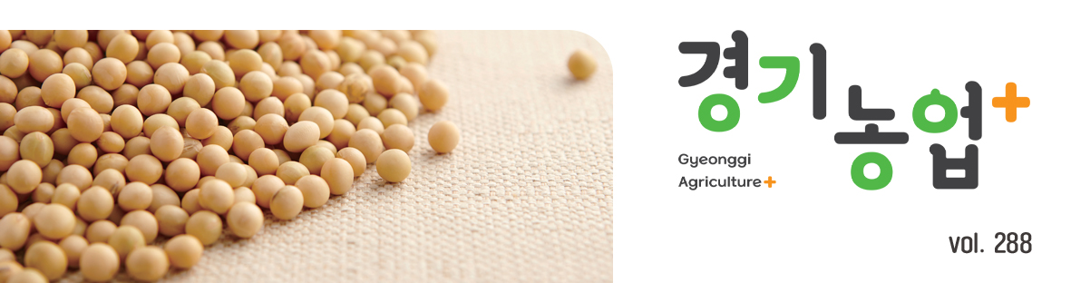 웹진 대표 이미지