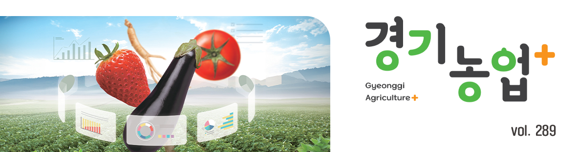 웹진 대표 이미지