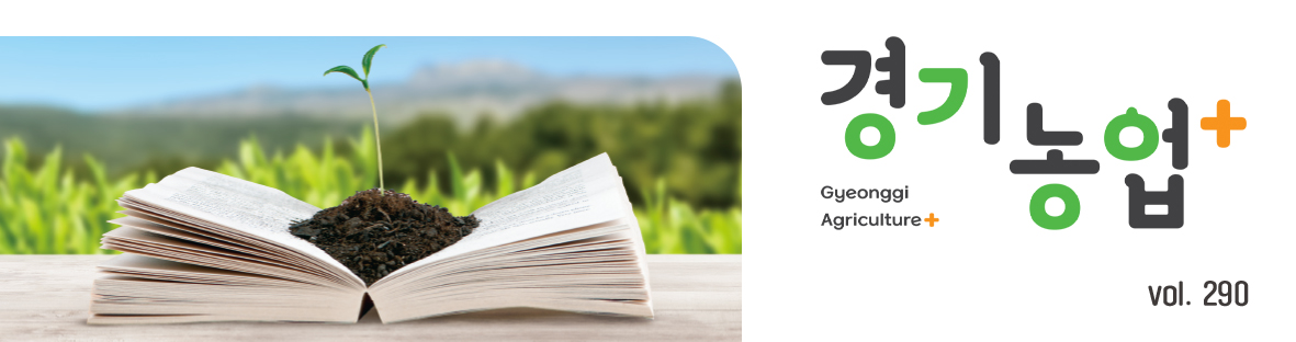 웹진 대표 이미지