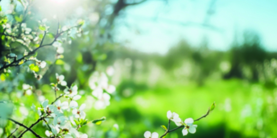 시작, 그게 봄이다 삶은 늘 다시 시작할 이유를 남겨둔다. 말보다 먼저, 빛이 그렇게 말해준다. 우리는 늘 이른 봄빛 아래, 끝인 듯한 자리에서도 다음 페이지를 건네받아 왔다. 3월은 그 페이지를 조심스럽게 펼치는 시간이다.